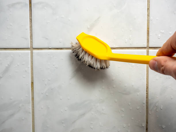 Best Best Mold Removal Companies  in Mona, UT