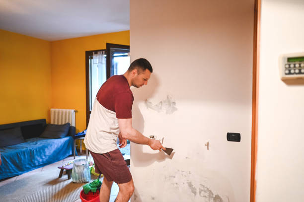 Best Black Mold Removal  in Mona, UT
